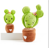 Soil Mates, Cactus, Set of 2