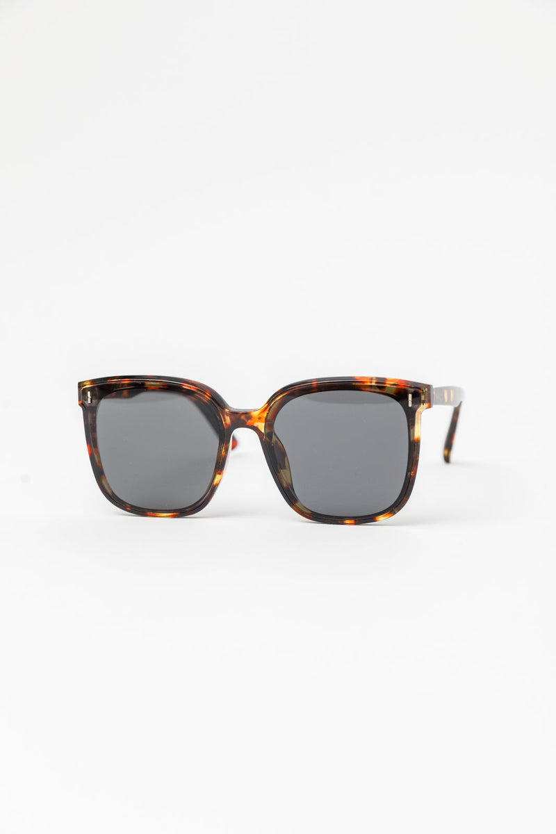 Eye On You Sunglasses in Tortoise