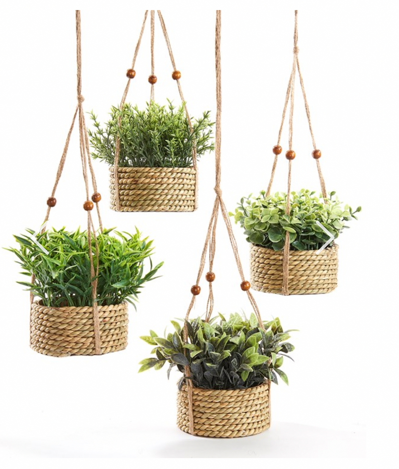 Potted Hanging Plant